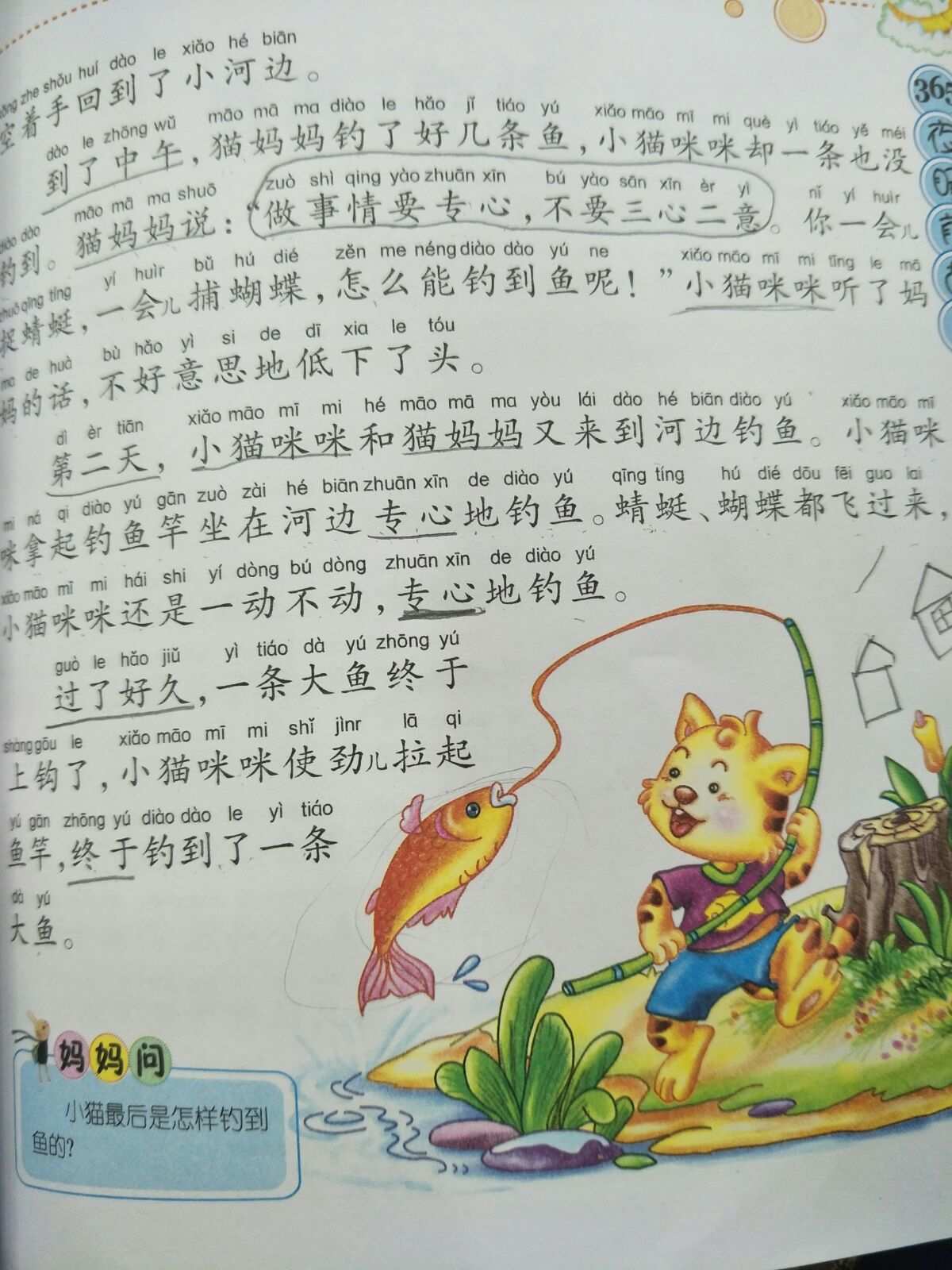 小猫钓鱼游戏方案_手冢 小猫钓鱼 国王游戏 致橡树_小猫钓鱼活动方案
