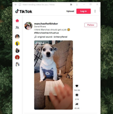 新知达人, 谷歌浏览器怎么刷Tiktok？安卓模拟器刷Tiktok教程