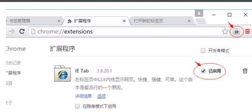 图片[18]-如何用谷歌浏览器看外网_浏览国外网站的加速器-轩逸博客